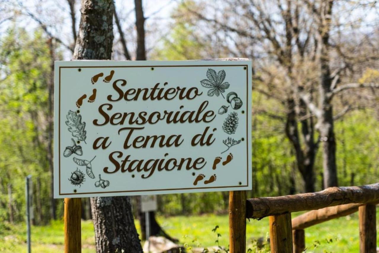 Villaggio Anemone - Chalet Anemone Capanne di Sillano Exterior photo
